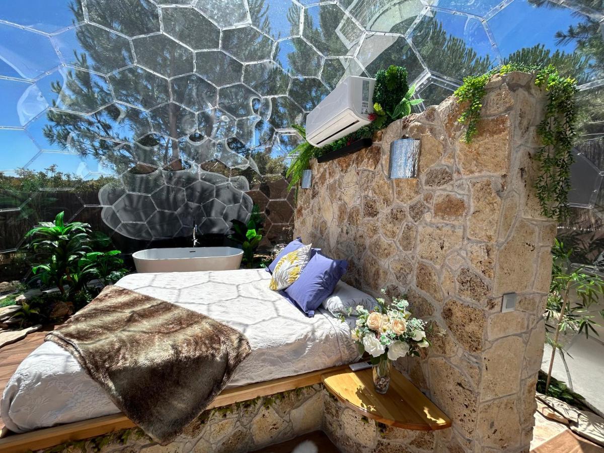 Skd Suite Garnacha Ávila Exterior foto